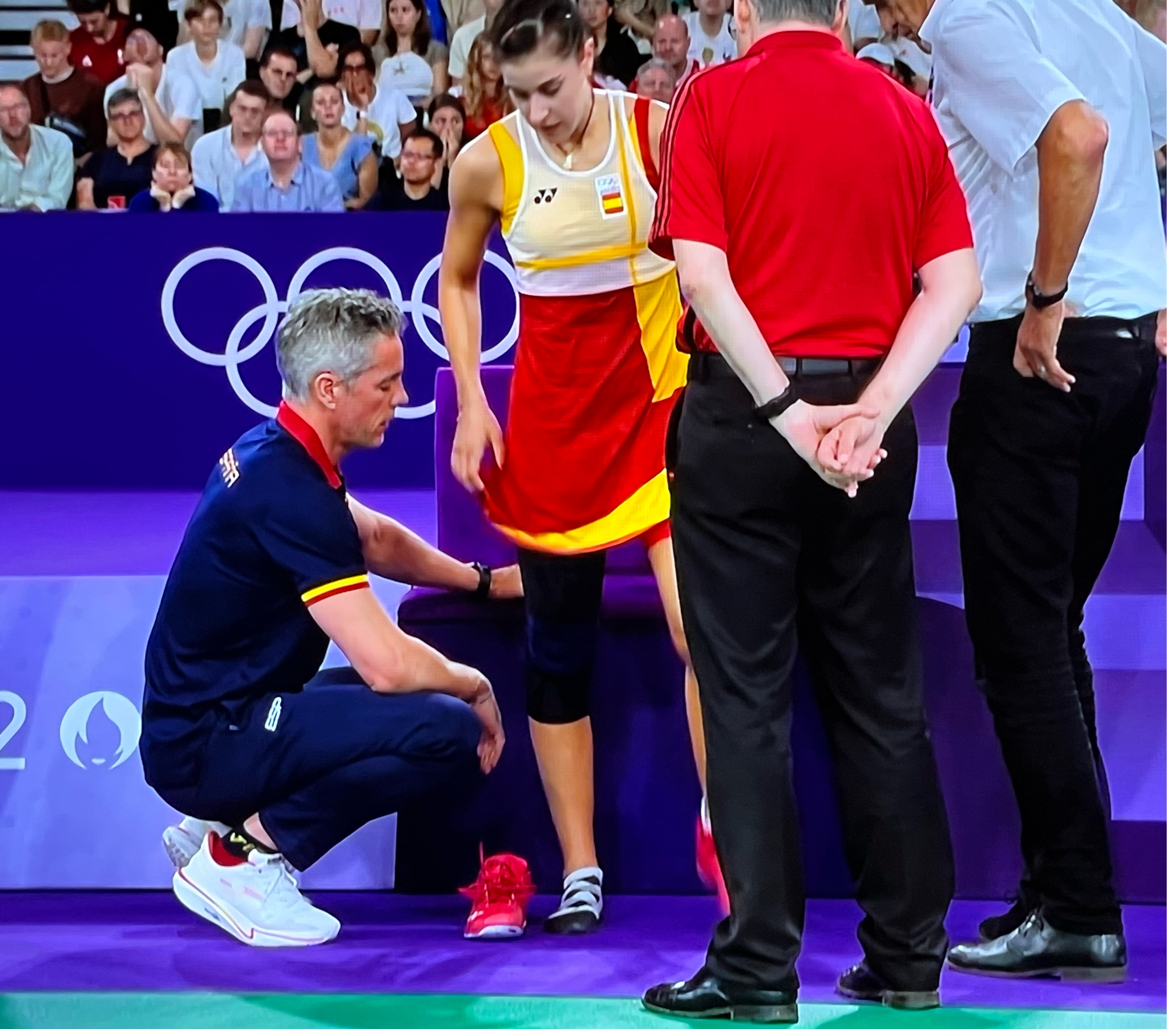 关于法国羽毛球队血洗英格兰羽毛球队，马琳高光表现的信息