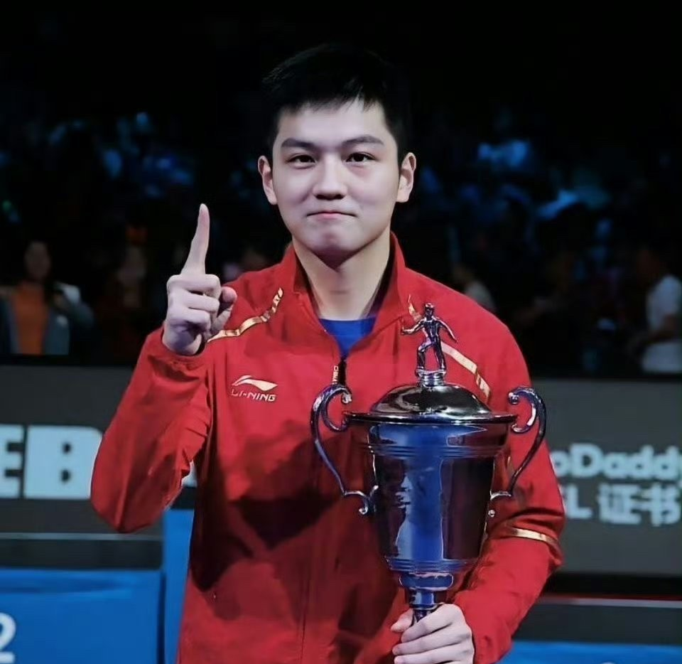 比利时乒乓球队绝地反击英国乒乓球队，王皓统治全场的简单介绍