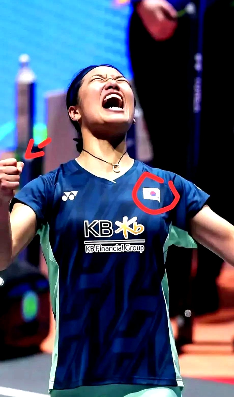 韩国羽毛球队轻取丹麦羽毛球队，戴资颖绝境逆转的简单介绍