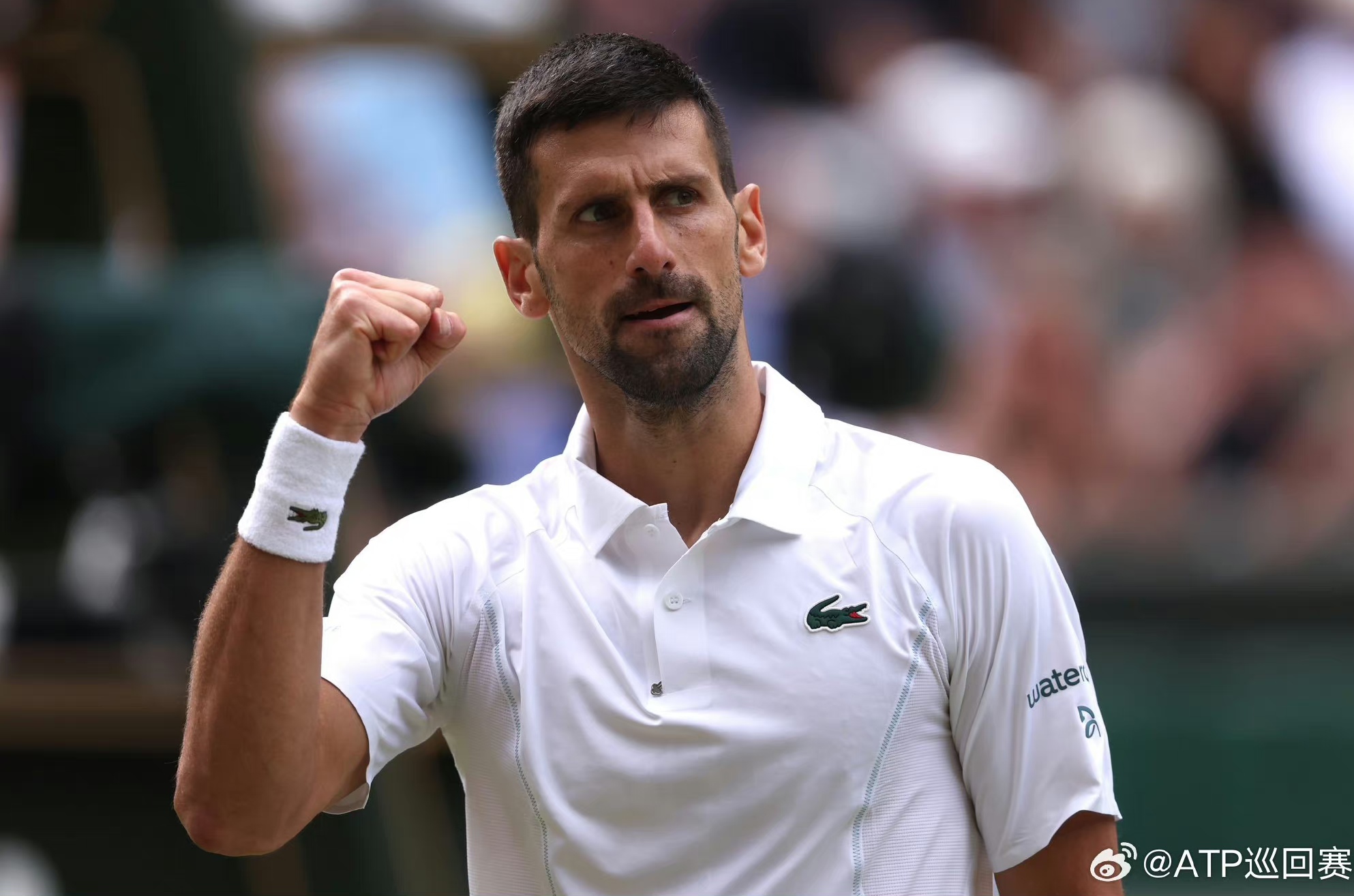 温网险胜拉沃尔杯，德约科维奇高光表现的简单介绍