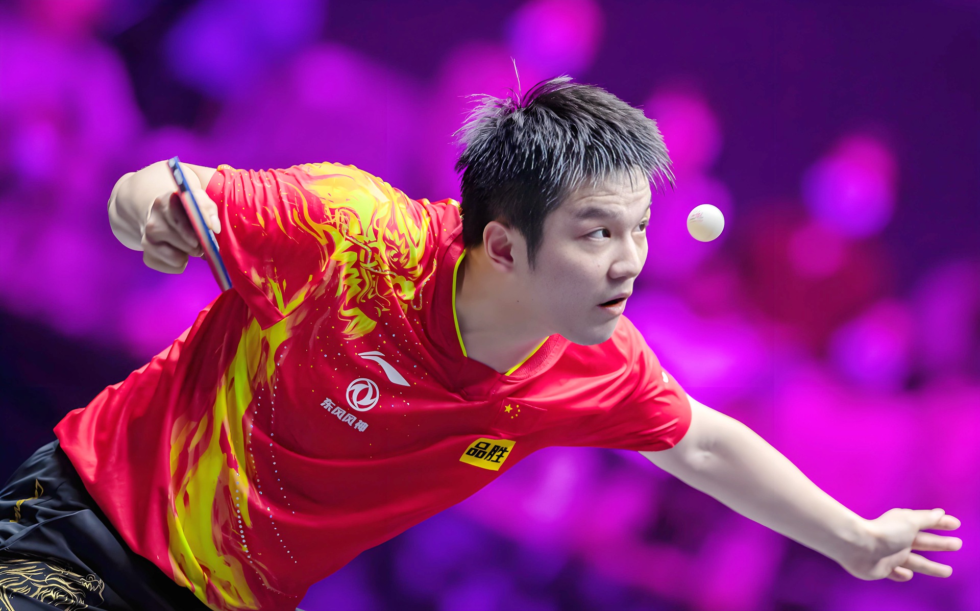 瑞典队绝杀韩国队，樊振东高光表现的简单介绍