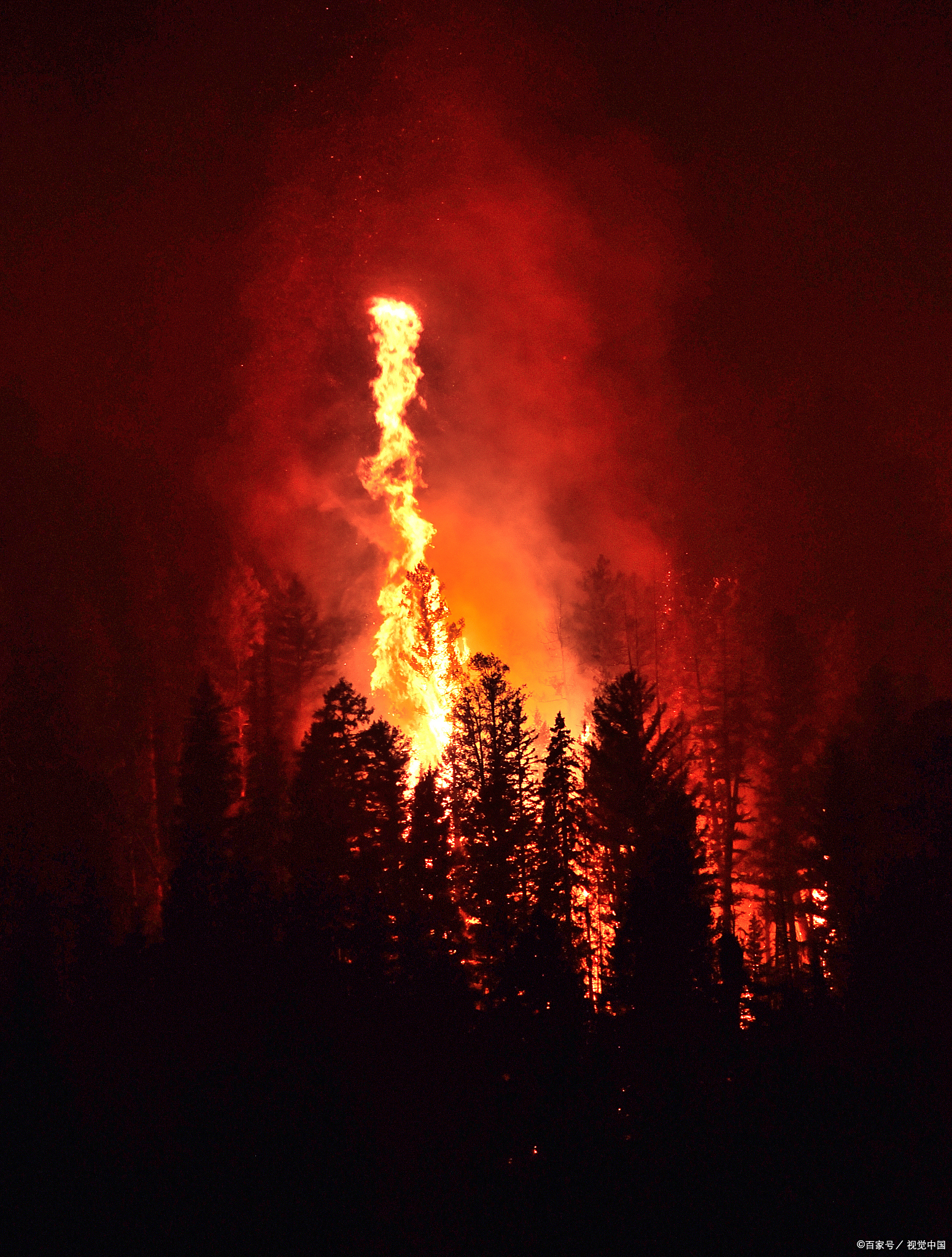 关于法兰克福主场再次冷却莱比锡的火焰的信息