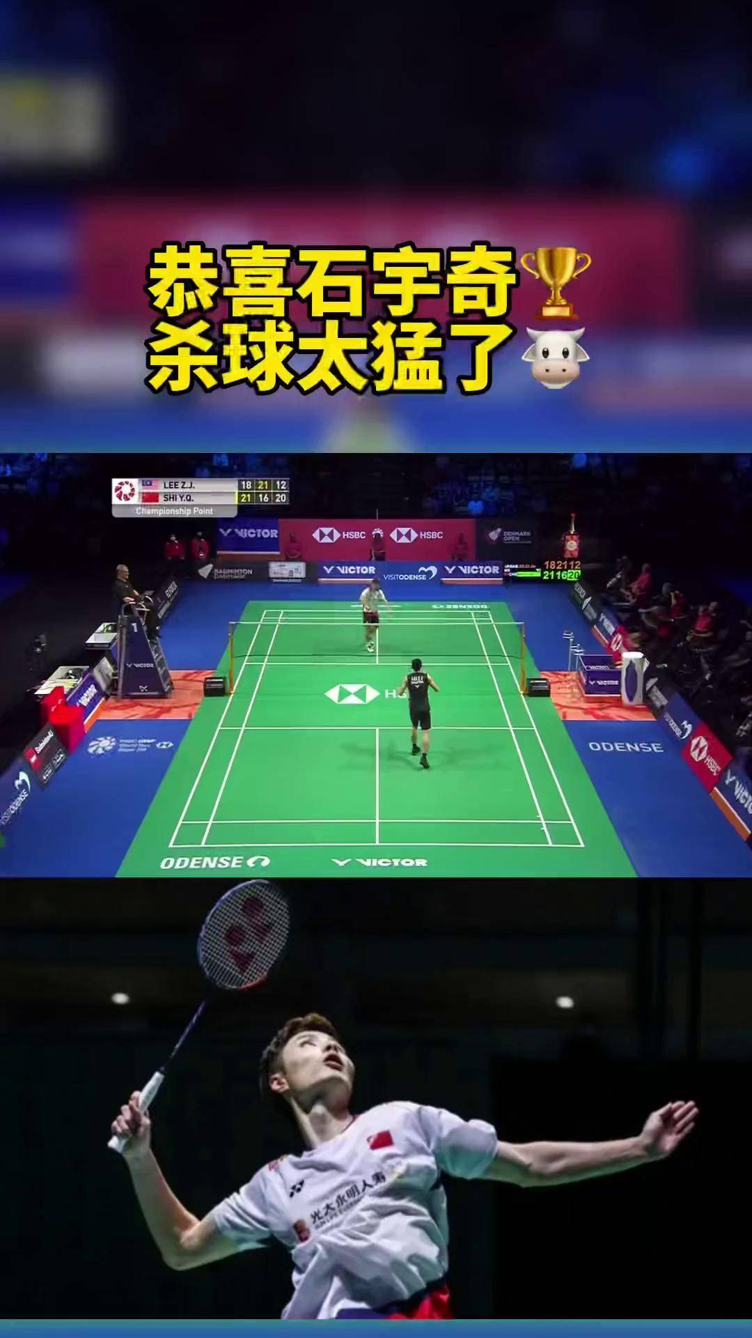 丹麦队险胜德国队，李梓嘉带队取胜