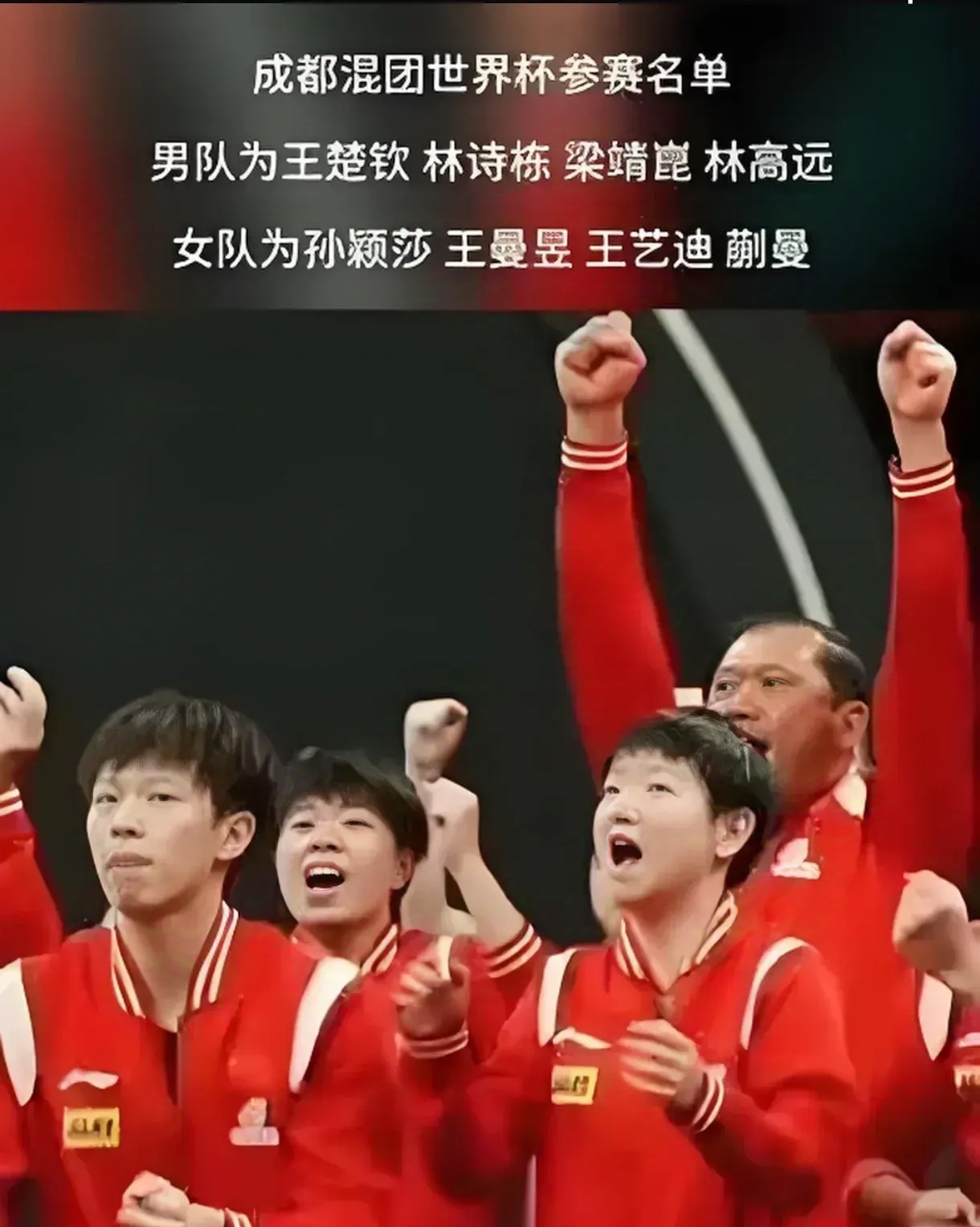 开云体育中国官网-法国队轻取日本队，林高远高光表现的简单介绍